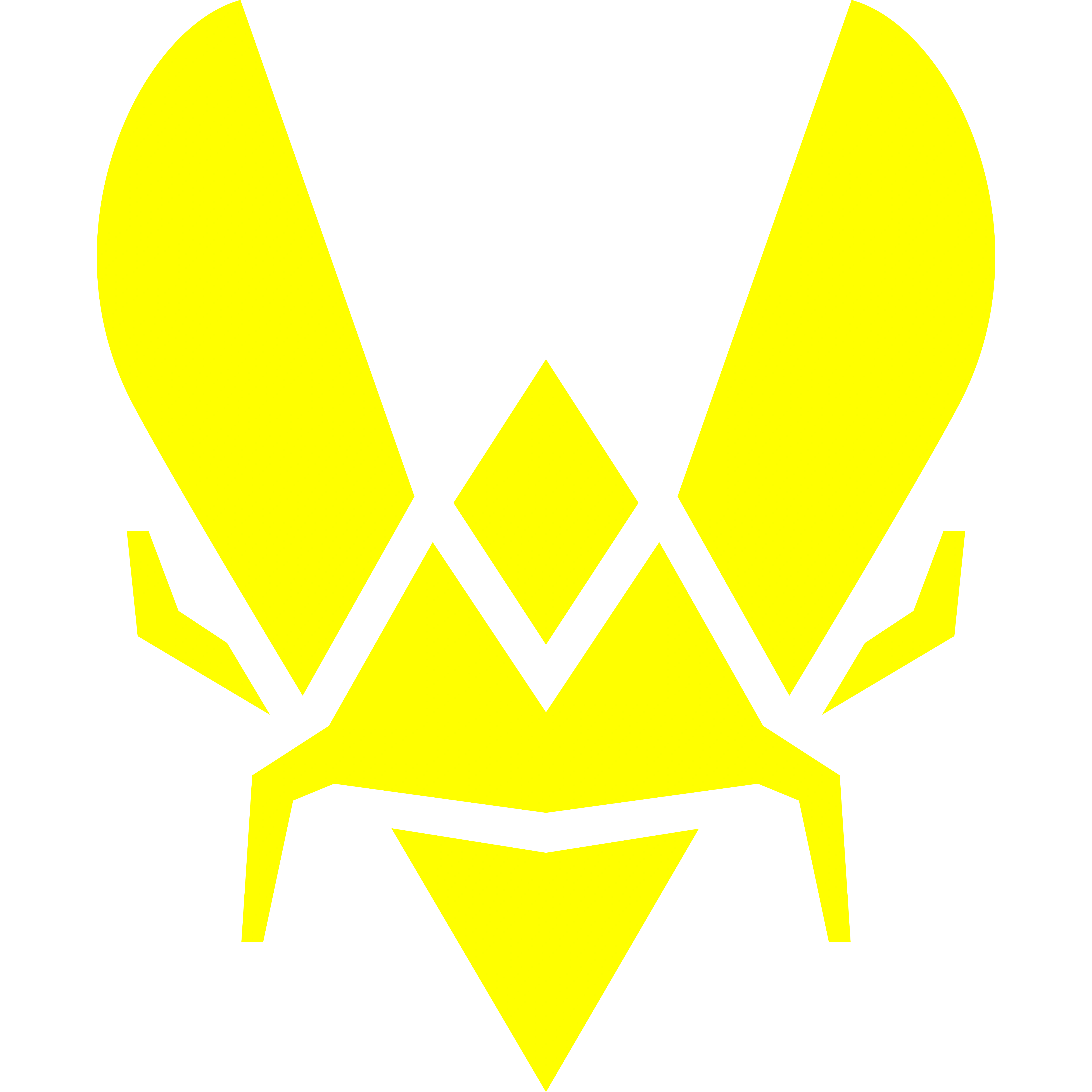 Team Vitality